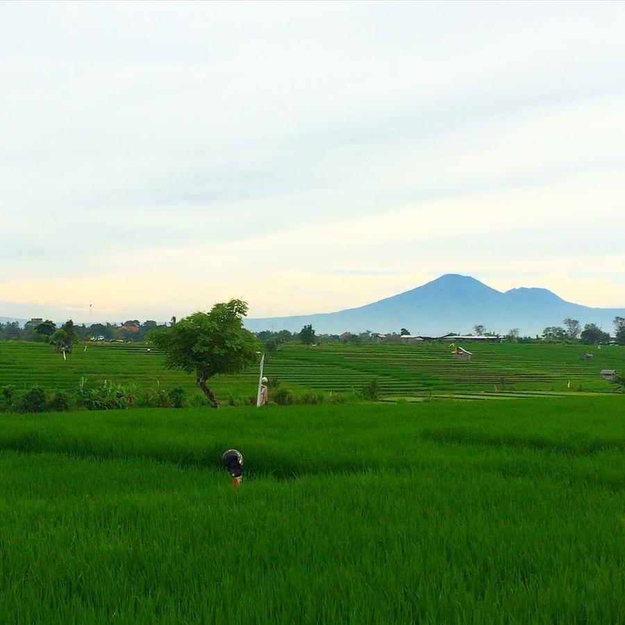 Canggu Beach Hostel 外观 照片